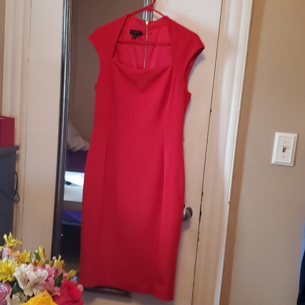 Ted Baker women's bodycon dress